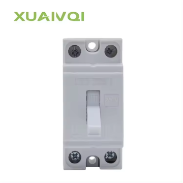 XUANQI 2-Pole 1.5KA RCBO Air Circuit-breaker NT50 RCCB XQ-D-11