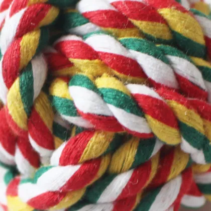 Fashionable dog chew toys popular pet chew toys