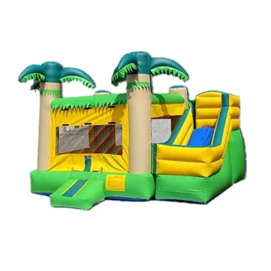 Inflatable Jumping Castle Combo Slide for Outdoor Playground - Bounce House for Sale