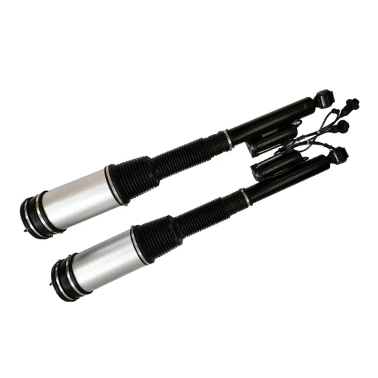 Swift Rear Shock Absorber OE A2203201738 A2203201838 for Car Parts Suspension System