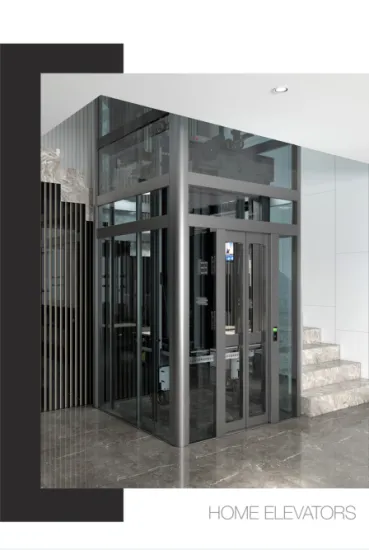 Indoor Outdoor Private Villa Home Elevator