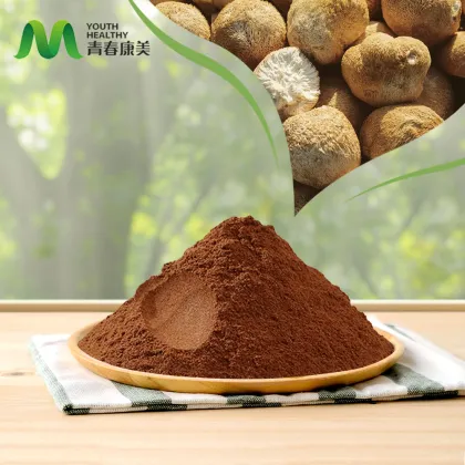 Organic Lion's Mane Mushroom Powder