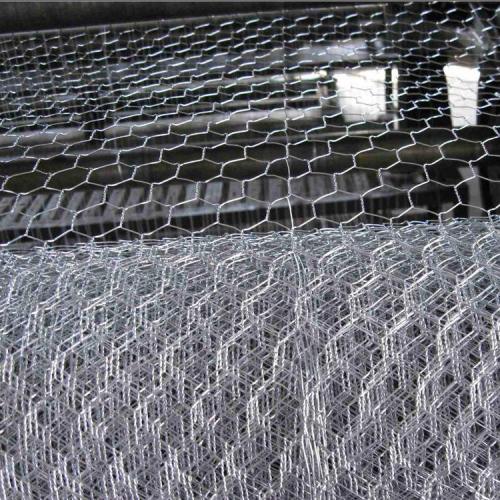 Hot-dipped Galvanized Wire Netting Hexagonal Wire Netting - Weave before Hot-dipped Galvanized Supplier