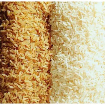 Nutritional Rice Processing Line Machinery