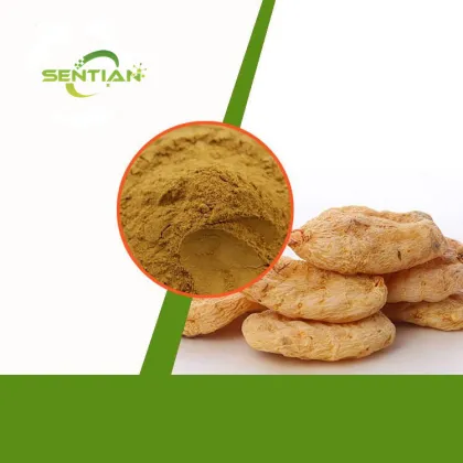 Pure rhizoma gastrodia elata extract