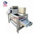 Small Coconut Almond Nuts Crushing Machine