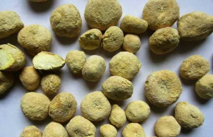 Brown ginger processed pinellia jiang banxia