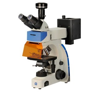 LED Illumination Trinocular Fluorescence Microscope (LF-302)