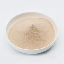 Bacillus Subtilis For Agriculture Free Sample Bacillus Subtilis 100 Billion cfug Powder Manufactory