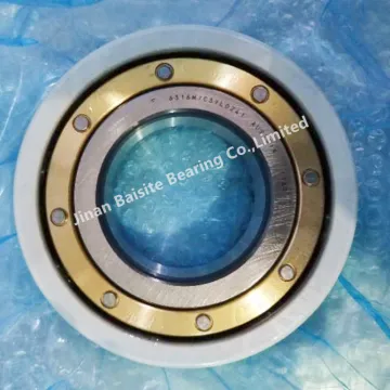 6315M Insocoat Deep Groove Ball Bearings 6315M/C3VL0241 Electrically Insulated Bearing