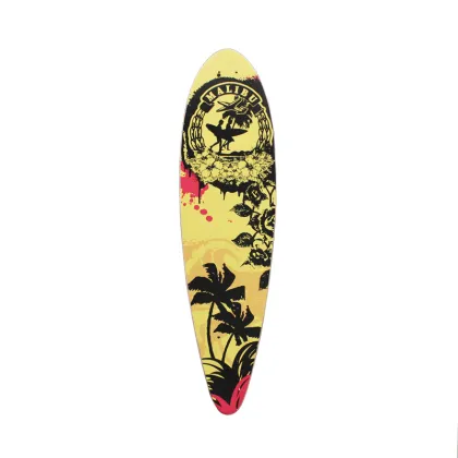 Skating Street Surfing Board Long Skate Board