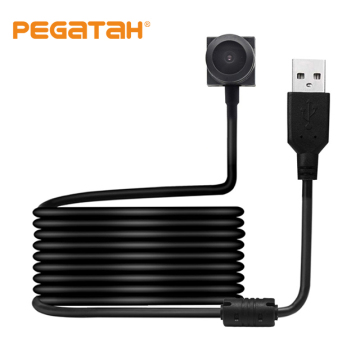 PEGATAH WD2MP 1080p Plug & Play USB Webcam with Microphone for Laptop and Desktop