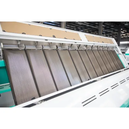 High Accuracy Areca Nut Sorting and Coloring Machine