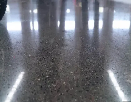 Oily epoxy seal curing agent