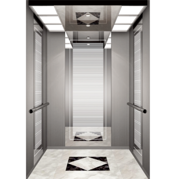 Foshan Leo Office Passenger Lift Elevator