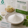 Ingrediente probiótico Lactobacillus Gasseri