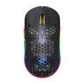 RGB 2.4GHz Wireless Gaming Mouse With 6D