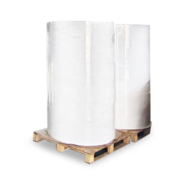 Offset thermal Bopp adhesive large roll paper