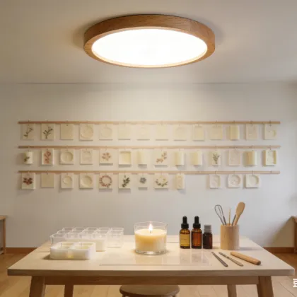 Living room ceiling light LED