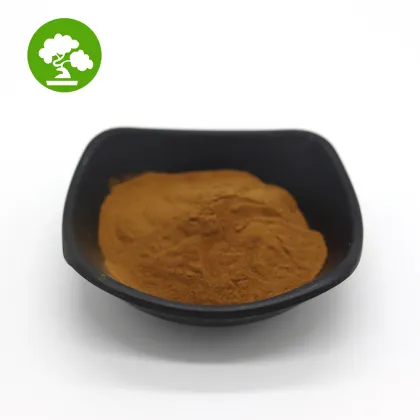 High Quality Reishi Mushroom Extract Ganoderma Lucidum