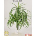 /msite/products/detail/productid/62961879/id/1504288.html