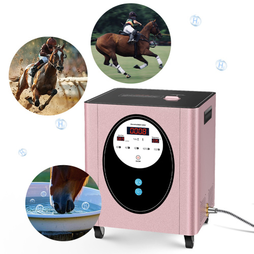 SPE Hydrogen Rich Water Generator for Bath