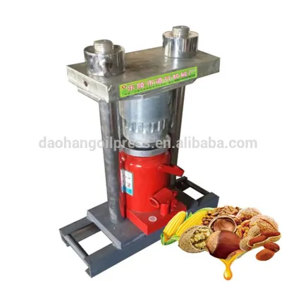Small Home Use Olive Oil and Coconut Oil Machinery in the Market