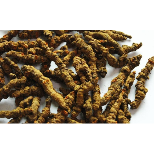 High quality Chinese herbal medicine Huanglian