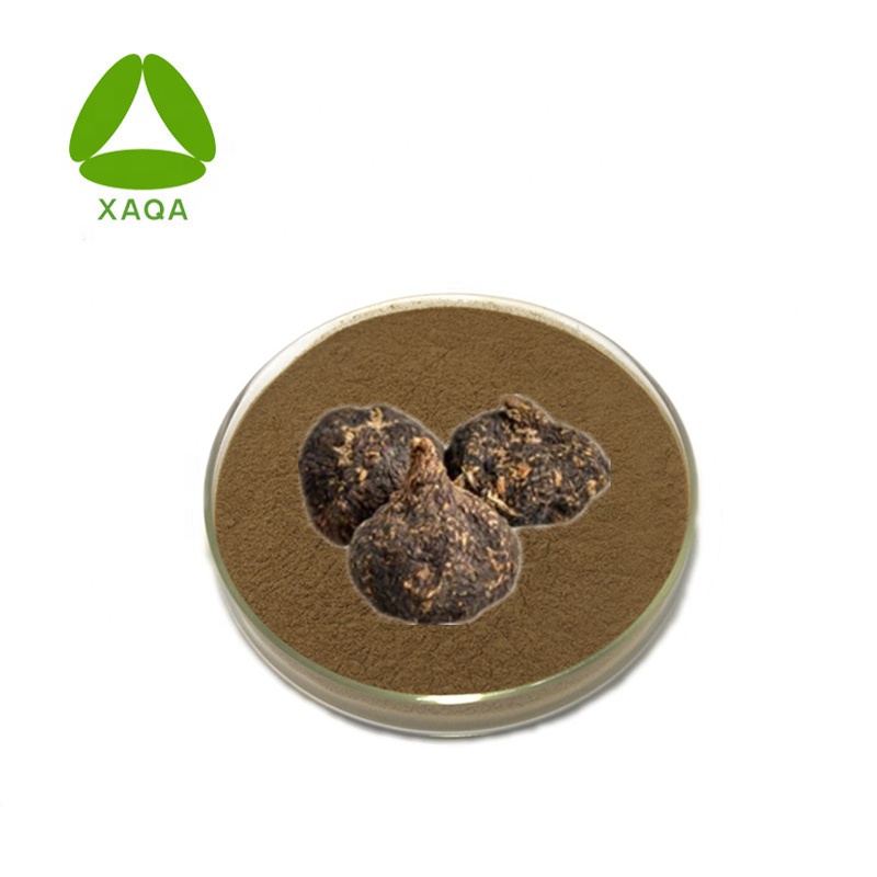 Black Maca Root Extract Powder Sexual Enhancement Materials