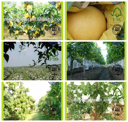 Water Proof Fruit Protection Paper bag