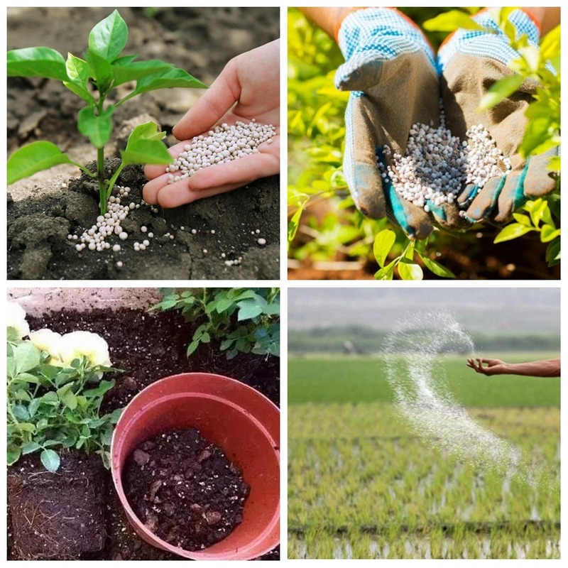 60g Quick-acting Compound Fertilizer Nitrogen, Phosphorus and Potassium Plant Foliage Organic Fertilizer Flower Pot Fertilizer