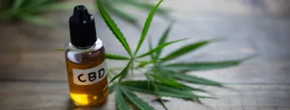 Hemp extract oil CBD