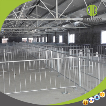 Hot Galvanized Finishing Crates for Pig Breeding Farms