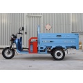 Low Price Eec Certification Electric Tricycle For Adult