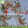 Factory Supply Neue Ernte Getrocknete Goji-Beeren