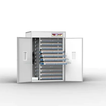 Automatic Egg Hatching Machines for Poultry: Chicken, Goose, Duck, and Pigeon Incubators