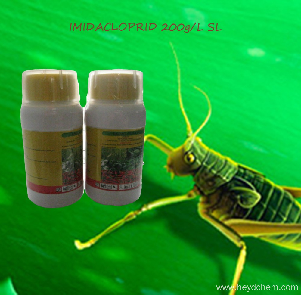 Pesticides Insecticide Imidacloprid 20%SL