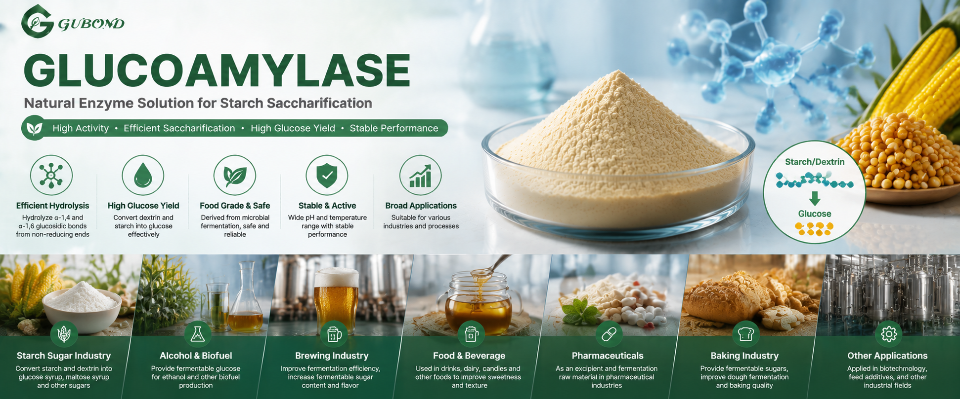 Glucoamylase