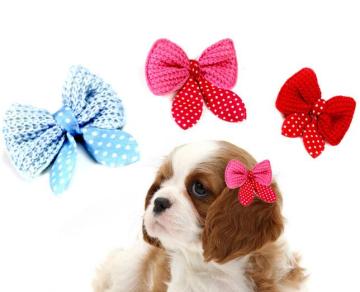 Cute Three-Color Pet Hair Clips for Small Dogs and Cats