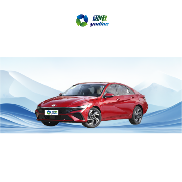 2024 Elantra 1.5L Gasoline Cars - Beijing 20th Anniversary Edition