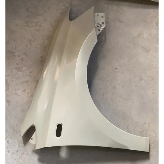 Factory Direct Metal Spare Parts - Car Front Fender Flares for VW Polo 2011 #L6RG 821 106A