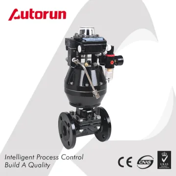 Chinese Wenzhou Supplier Rubber Lined Pneumatic Actuated Diaphragm Valve
