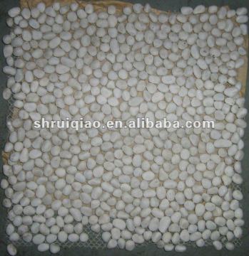 pebble mosaic