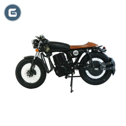 Surron Sling Shots and Panigale Electric Motorcycles: The Ultimate Electric Motorcycle Guide