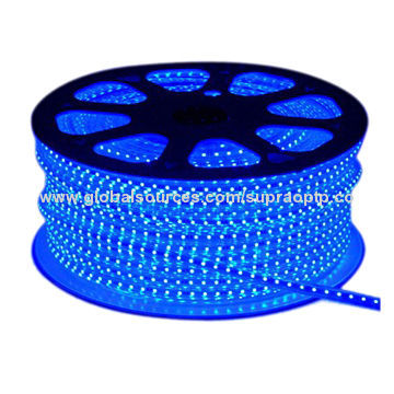 240V PU IP68 Patented 5050 LED Strip Light, 5050 SMD, Low-power Consumption and High-intensity
