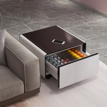 Smart Touch Control Mini frigorifero per casa e hotel