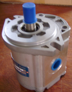 Cbw Gear Pump (CBW-F314-ALPL)