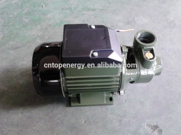 0.5HP Dual Power Electric Clean Water Pump QB60 with peripheral impeller