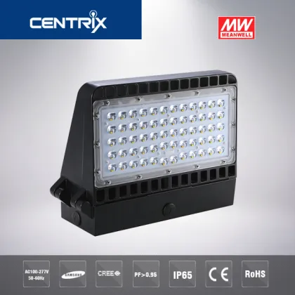 100w led outdoor wall lights for Meanwell driver Cree chip wall light