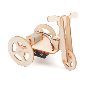 Diy Wooden STEM Education Science Physics Electric Tricycle Toy Car